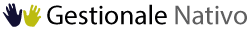 Gestionale Nativo